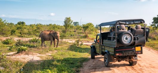 Entdecken-Sie-die-Welt-mit-Austrian-Travel-Boutique