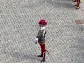 Swiss guard