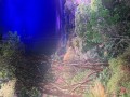 Amazonien-Ausstellung-in-Pforzheim