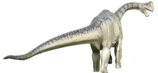 Dinos-im-Museum