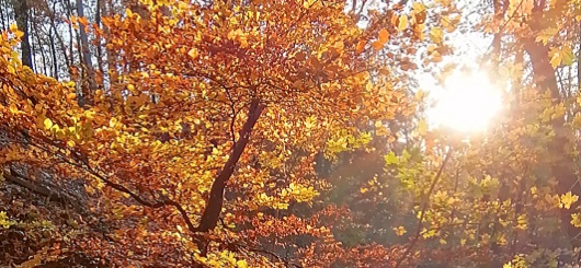 Geheimnis-des-Loslassens-3