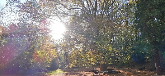 Die-Wahrheit-des-SEGENS-1