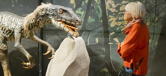 Blicke-in-die-Mannheimer-Saurier-Ausstellung