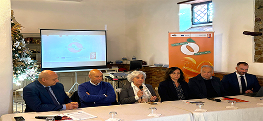 Citrus-Fruits-for-Wellness