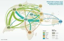 Global-forest-products-sector