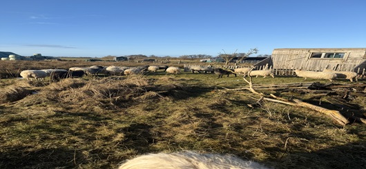 Ein-Abend-zwischen-Herz-Humor-und-harter-Realit-t