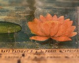 RAVI VAIBHAV F A L Press Imprint am rechten unteren Bildrand