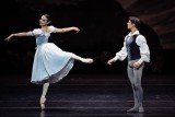 Copyright: Wiener Staatsballett/Ashley Taylor