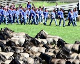 Einzug der Bauernburschen in die Arena.