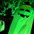 Gruseln ganz ohne Horror-Erschrecker. Foto: Seepark Zülpich